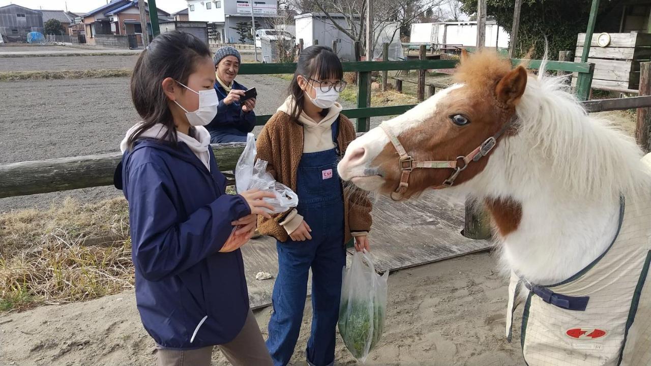 海辺のゲストハウスーぽかぽか村ー Ise Εξωτερικό φωτογραφία